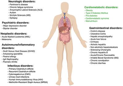 Fecal Microbial Transplantation and Its Potential Application in Cardiometabolic Syndrome